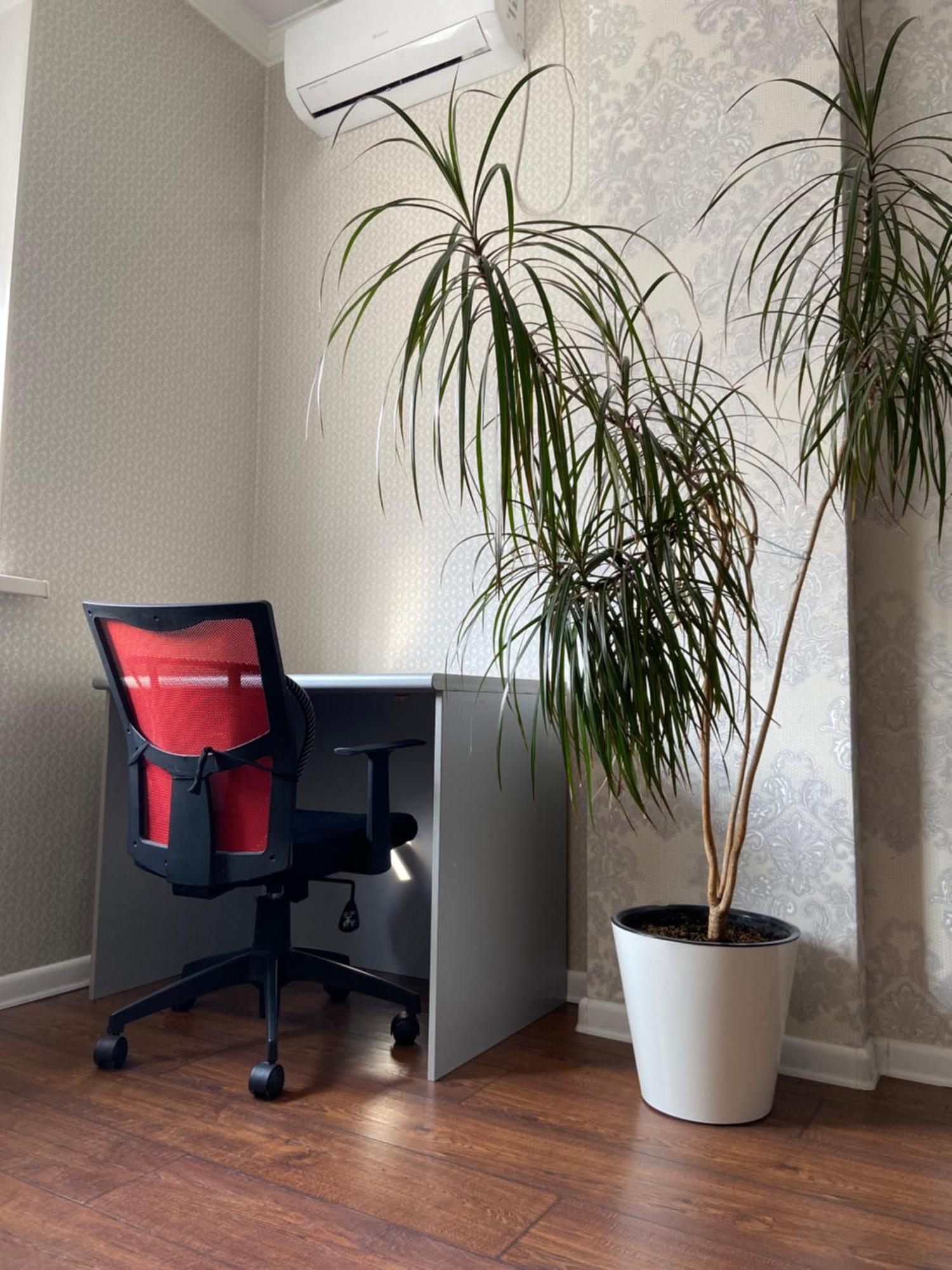 Apartament Жк Весна Ałma Ata Zewnętrze zdjęcie